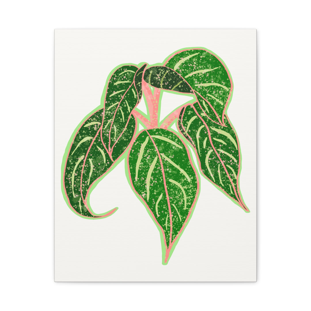 Aglaonema Sparkling Sarah Botanical Canvas Print On Matte Stretch Canvas For Modern Living Room Decor