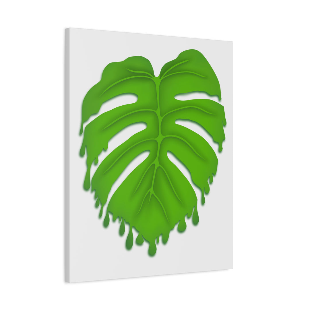 Melting Monstera Canvas Wall Art Large Botanical Print On Premium Cotton With Matte Finish For Indoor Decor