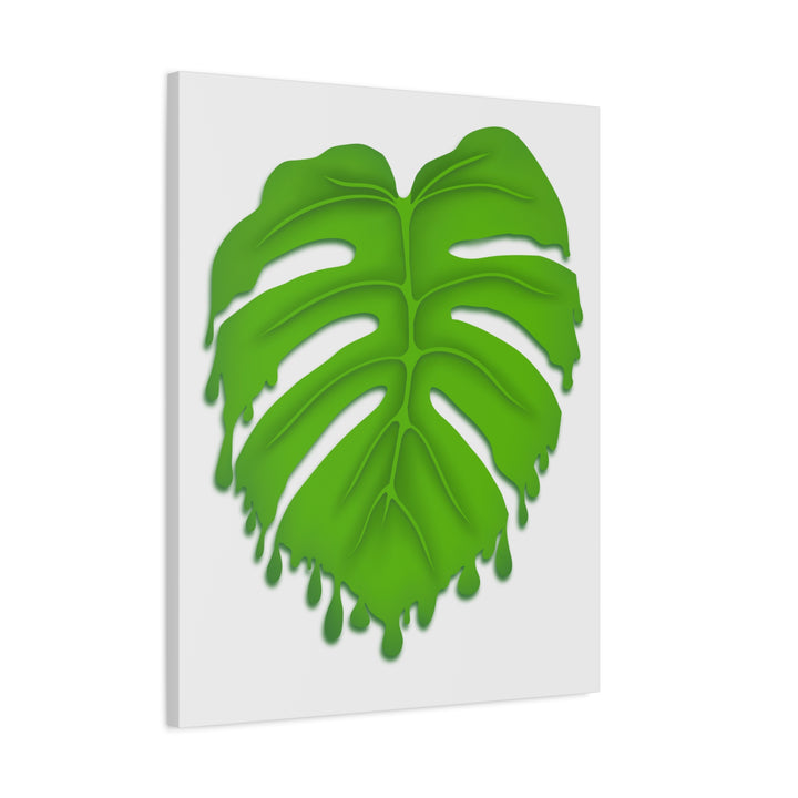 Melting Monstera Canvas Wall Art Large Botanical Print On Premium Cotton With Matte Finish For Indoor Decor