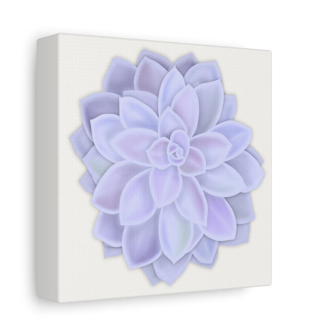 Succulent Canvas Art Pastel Rosette Canvas Durable Cotton Print Botanical Wall Art