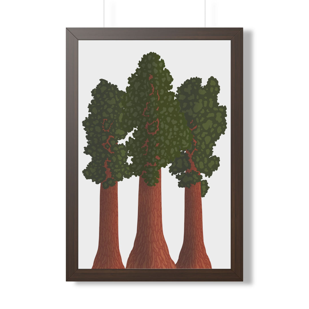 Giant Sequoias Framed Print – Wall Art