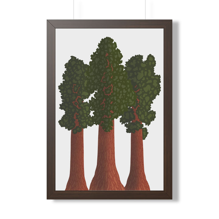 Giant Sequoias Framed Print – Wall Art