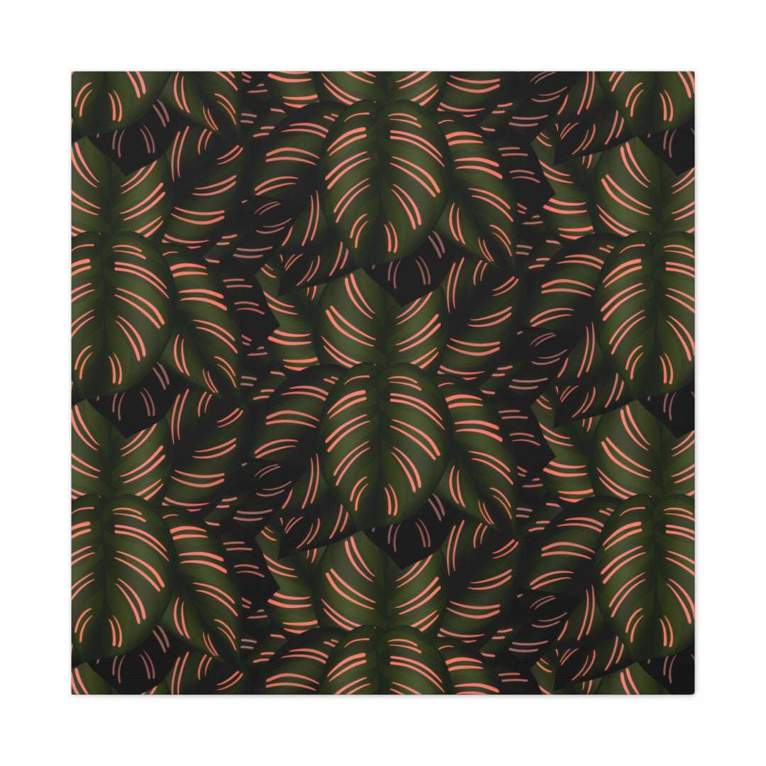 Calathea Pinstripe Canvas Print With Matte Finish Stretched Botanical Wall Art For Living Room Decor