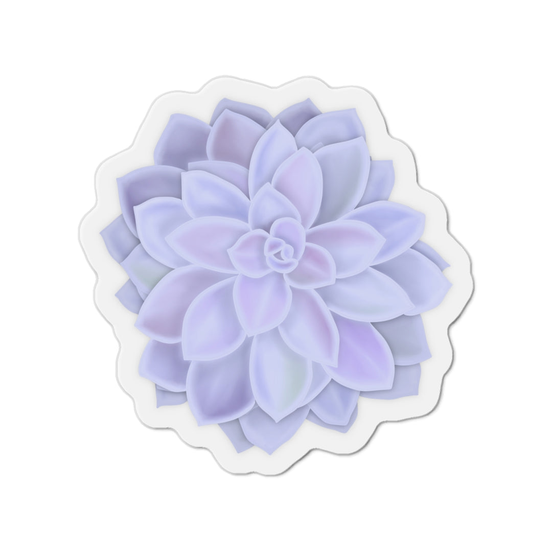 Graptopetalum Murasaki Succulent Magnet