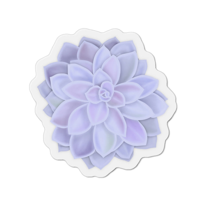 Graptopetalum Murasaki Succulent Magnet