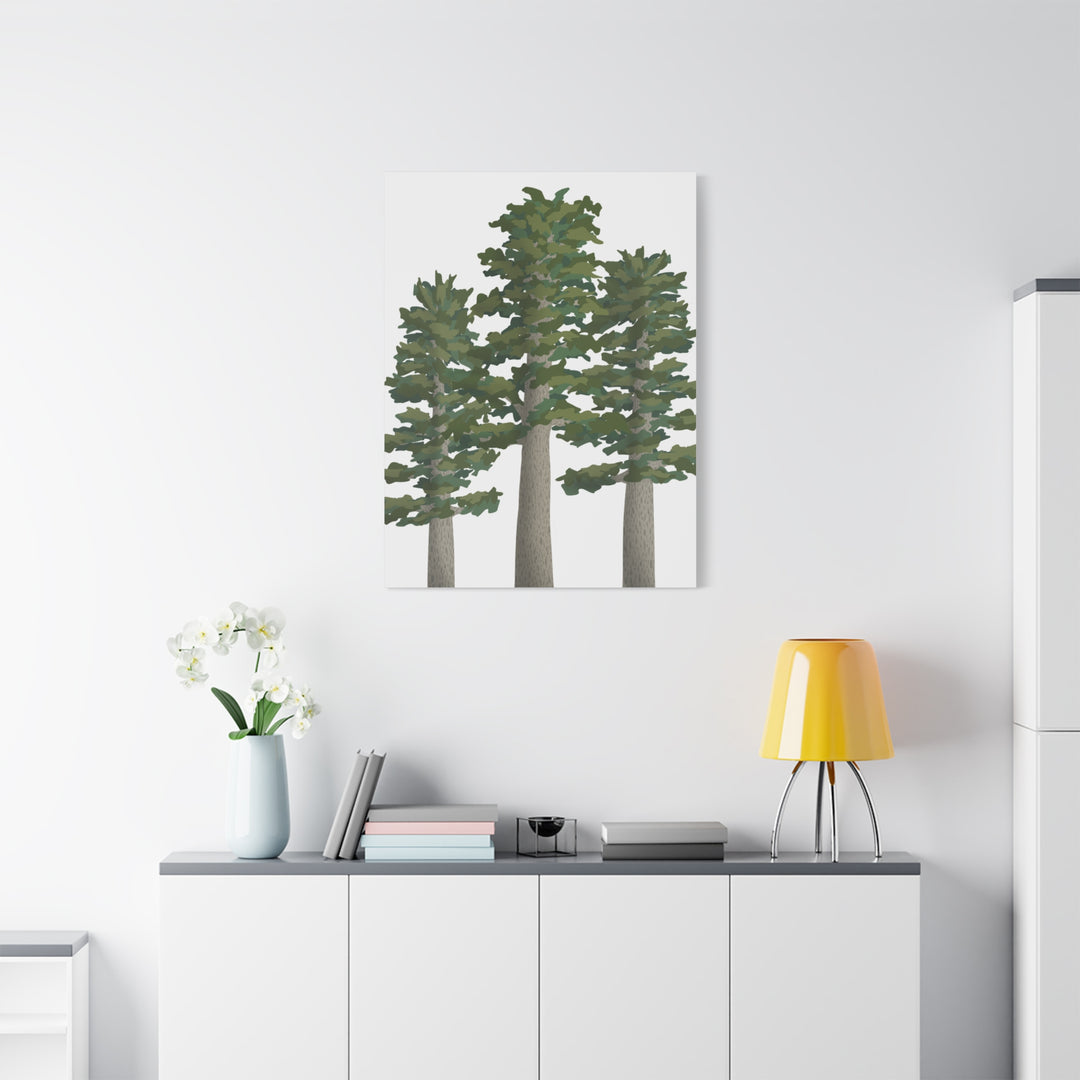 Sitka Spruce Canvas Print – Wall Art