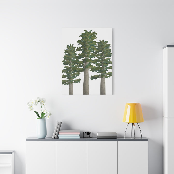 Sitka Spruce Canvas Print – Wall Art