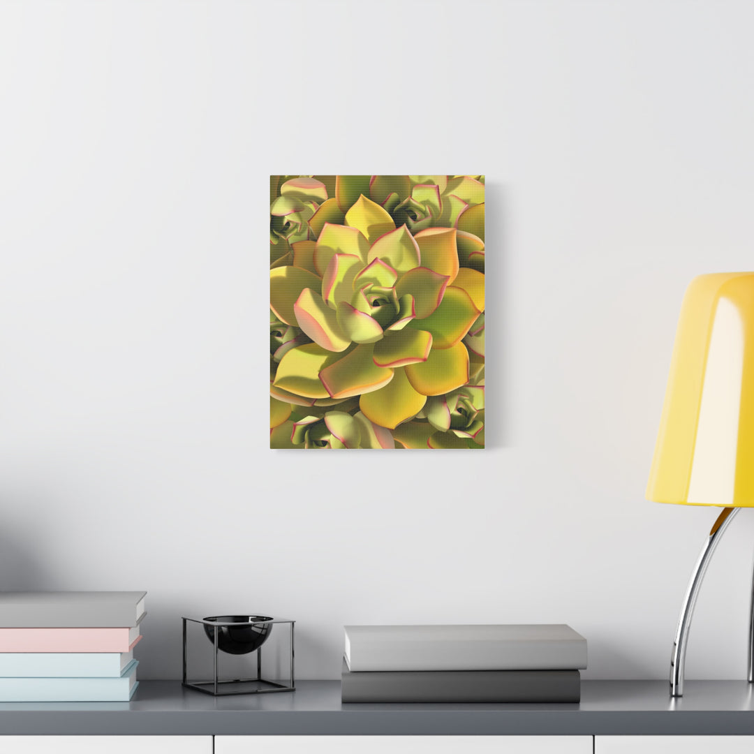 Succulent Canvas Art Vibrant Aeonium Print On Matte Canvas Wall Decor 12x18 Inches Indoor Home