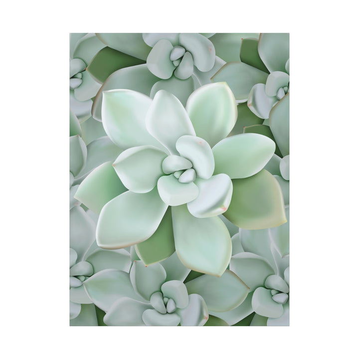 Pachyveria Haagei Succulent Pattern Canvas Art for Modern Home Decor 16x20 Matte Print