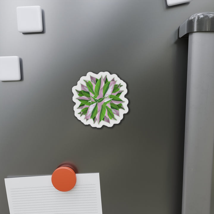 Syngonium Tricolor Magnet