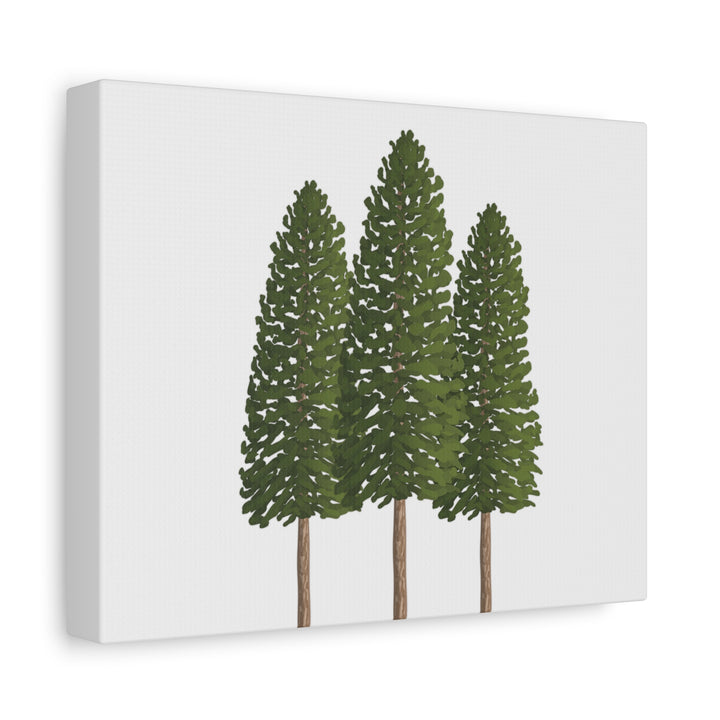 Three Ponderosa Pine Canvas Wall Art Matte Stretched Print Minimalist Forest Landscape Decor