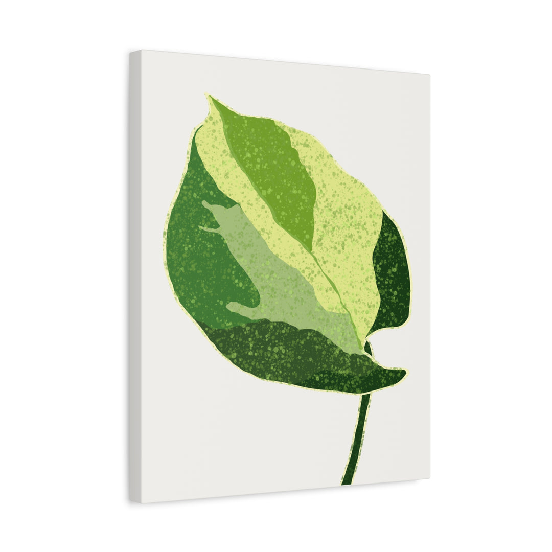 Manjula Pothos Botanical Canvas Print Matte Finish Stretched Canvas Wall Art 1.25 Inch Depth