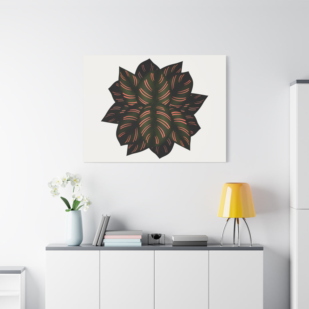 Calathea Pinstripe Canvas Botanical Wall Art Print On Stretched Cotton Canvas For Living Room Decor