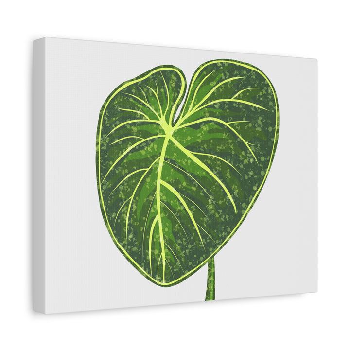 Philodendron Gloriosum Canvas Print Stretched Wall Art Botanical Leaf Print Matte Finish Gallery Wrapped Canvas