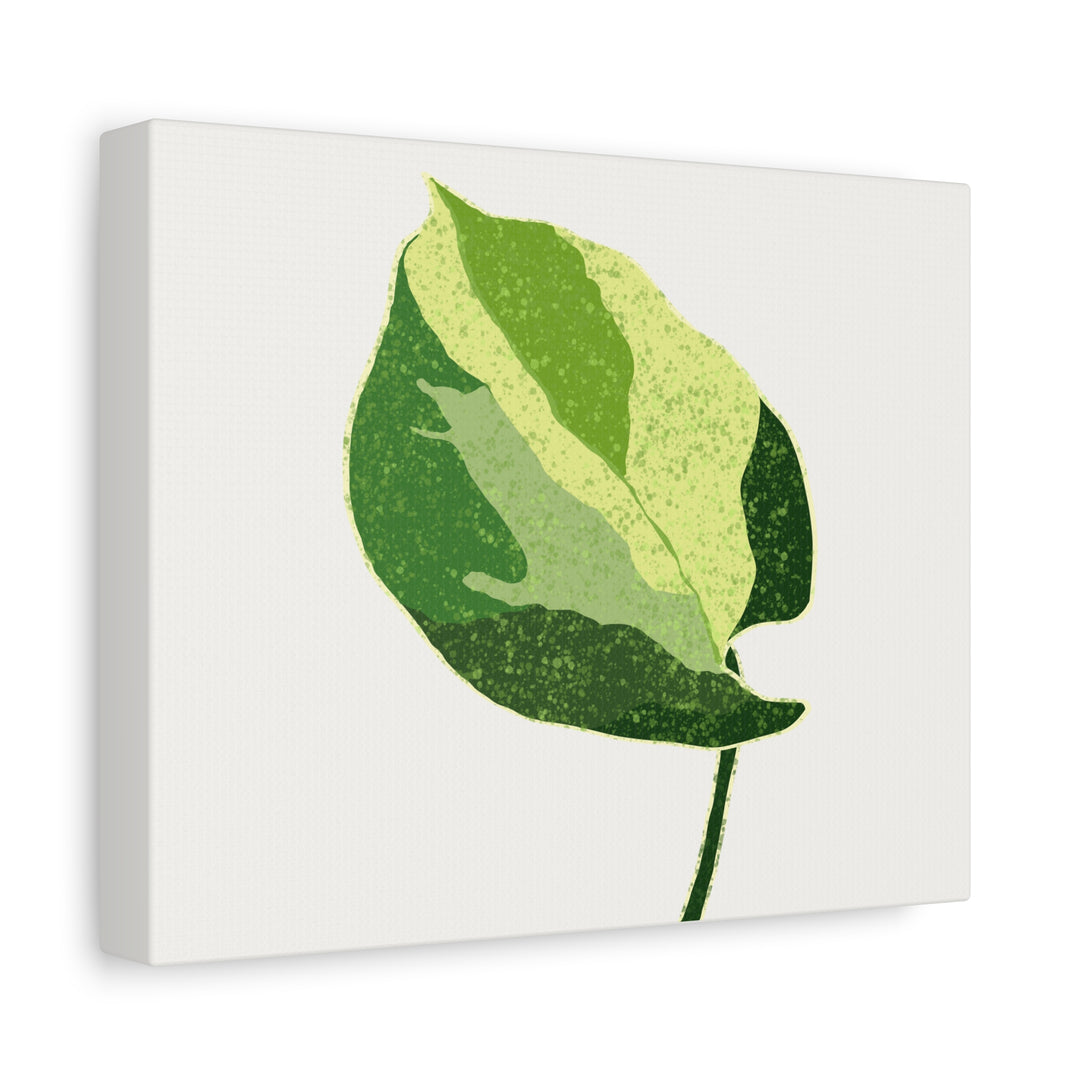 Manjula Pothos Botanical Canvas Print Matte Finish Stretched Canvas Wall Art 1.25 Inch Depth