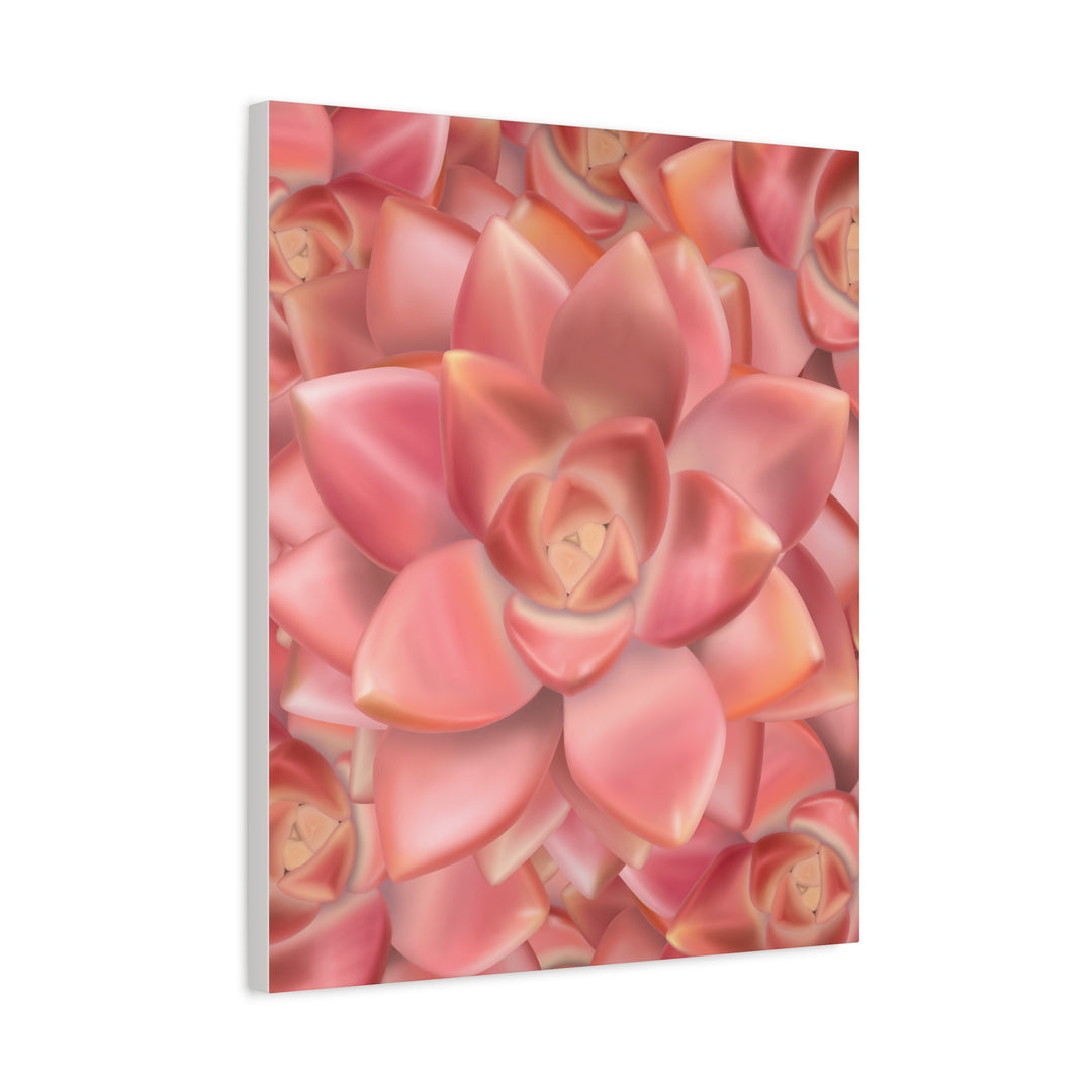 Graptosedum California Sunset Succulent Canvas Print – Botanical Wall Art - The Potted Pixel