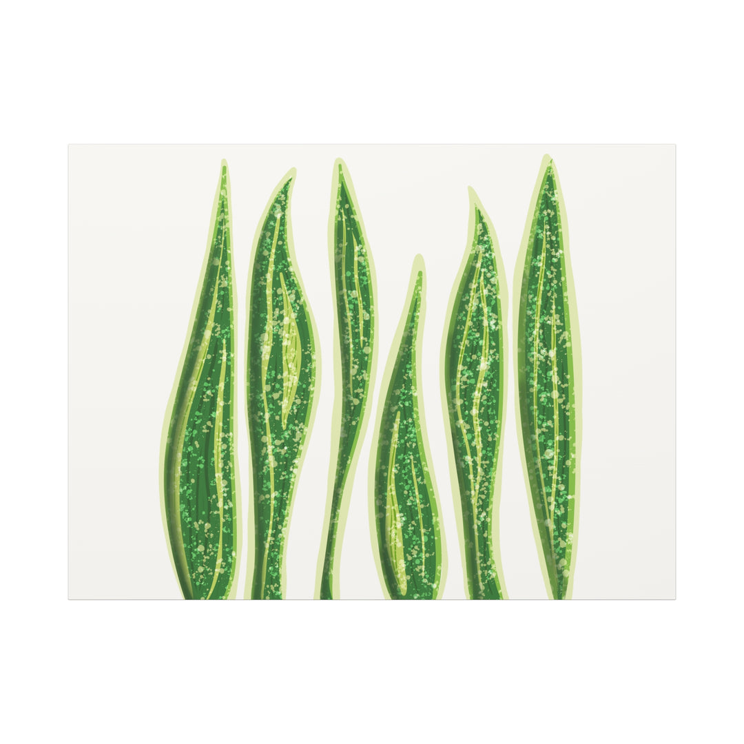Snake Plant Canvas Print Matte 1.25 Inch Stretch Canvas Wall Art For Living Room Decor