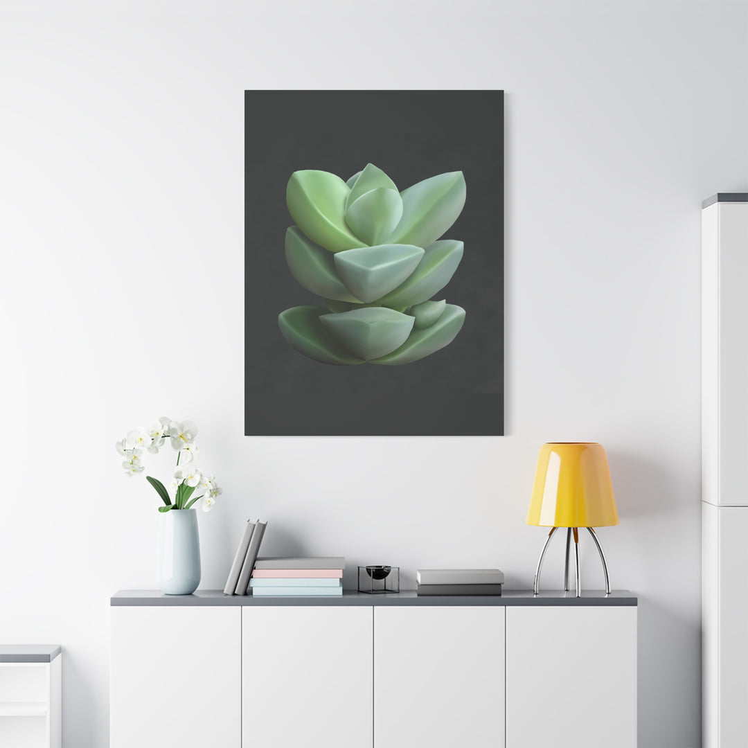 Crassula Canvas Print – Botanical Wall Art