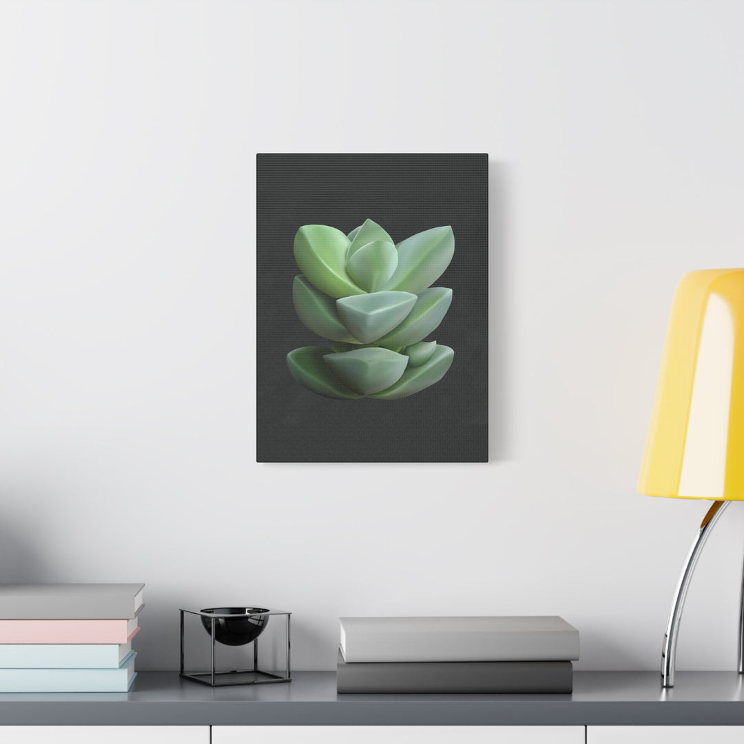 Crassula Canvas Print – Botanical Wall Art