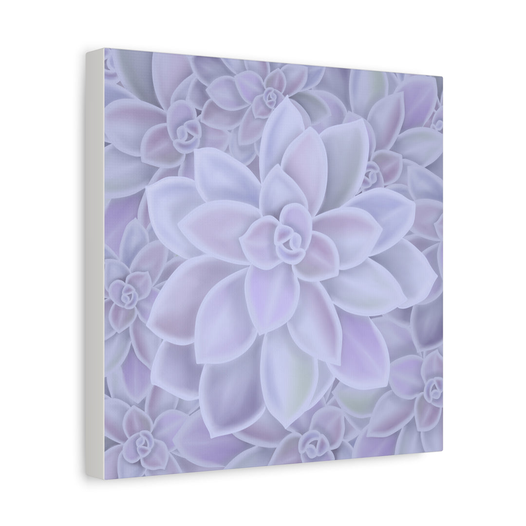 Graptopetalum Murasaki Succulent Canvas Art Print Pastel Purple Rosette Indoor Plant Decor