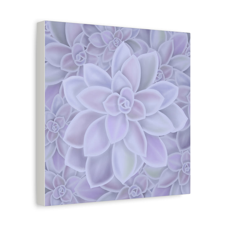 Graptopetalum Murasaki Succulent Canvas Art Print Pastel Purple Rosette Indoor Plant Decor