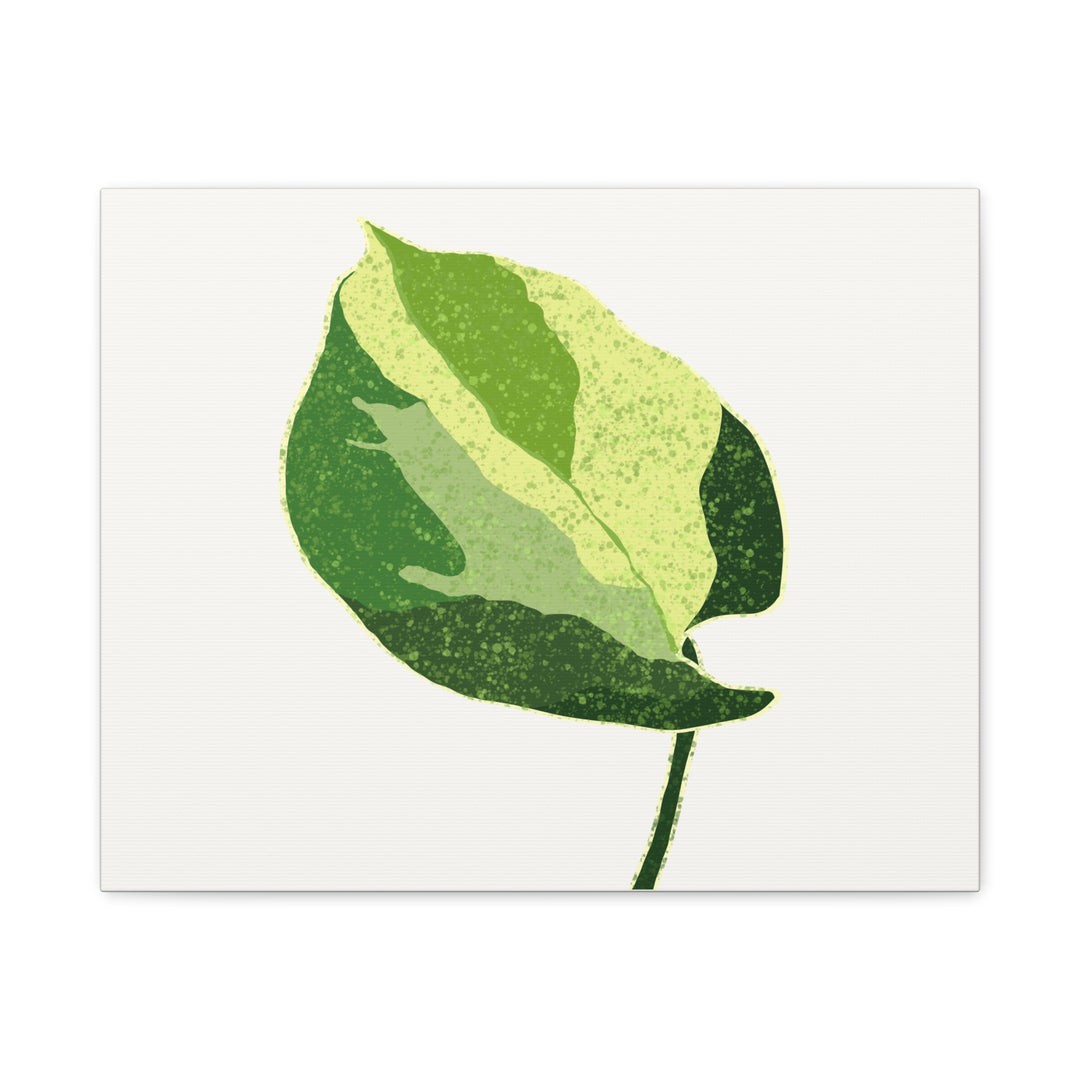 Manjula Pothos Botanical Canvas Print Matte Finish Stretched Canvas Wall Art 1.25 Inch Depth