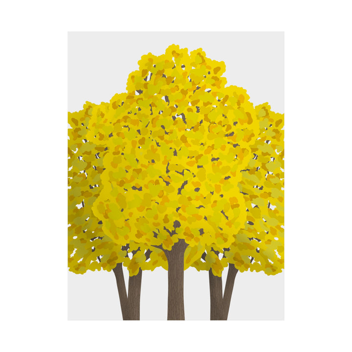 Big Leaf Maple Print – Unframed Wall Art