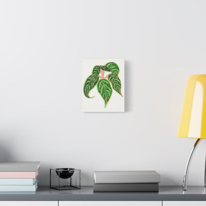 Aglaonema Sparkling Sarah Botanical Canvas Print On Matte Stretch Canvas For Modern Living Room Decor