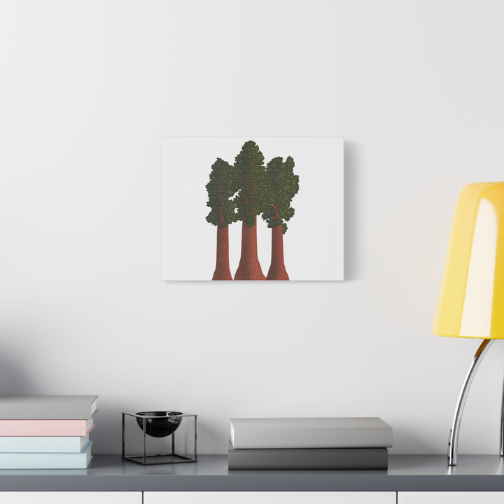 Giant Sequoias Canvas Print – Wall Art
