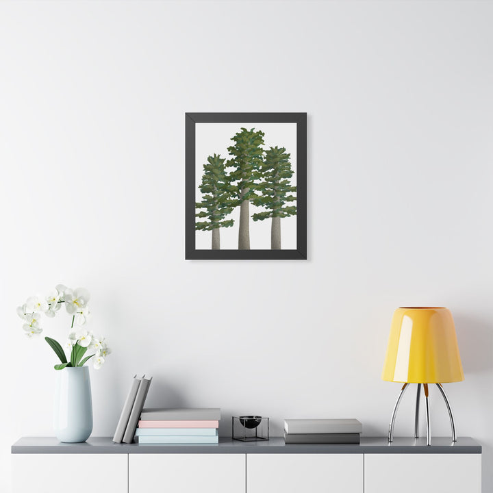 Sitka Spruce Framed Print – Wall Art