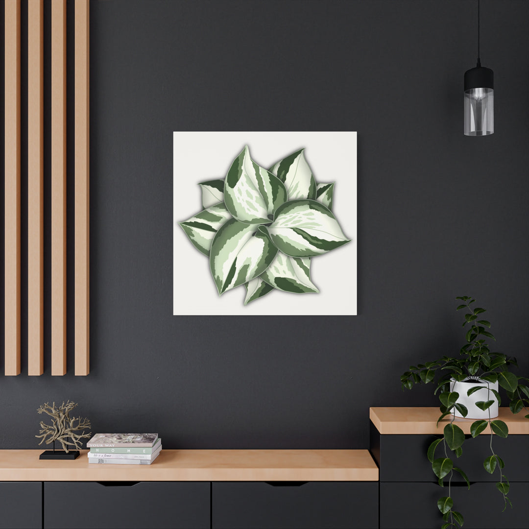 Manjula Pothos Canvas Print Stretched Matte Canvas Wall Art For Living Room And Office