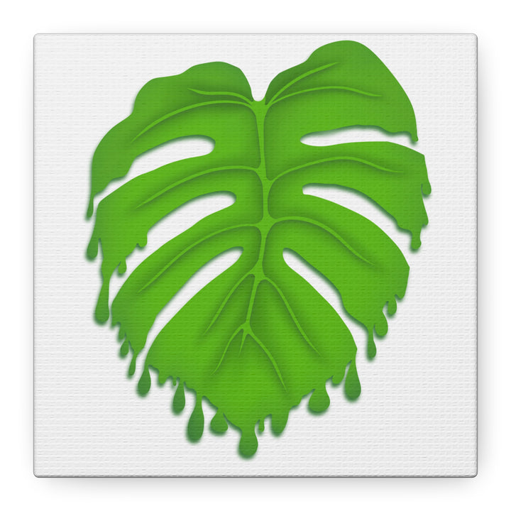 Melting Monstera Canvas Wall Art Large Botanical Print On Premium Cotton With Matte Finish For Indoor Decor