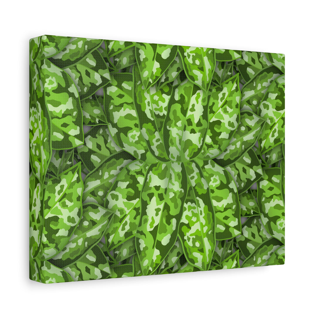 Aglaonema Pictum Canvas Wall Art Rare Plant Print Matte Finish For Modern Home Decor