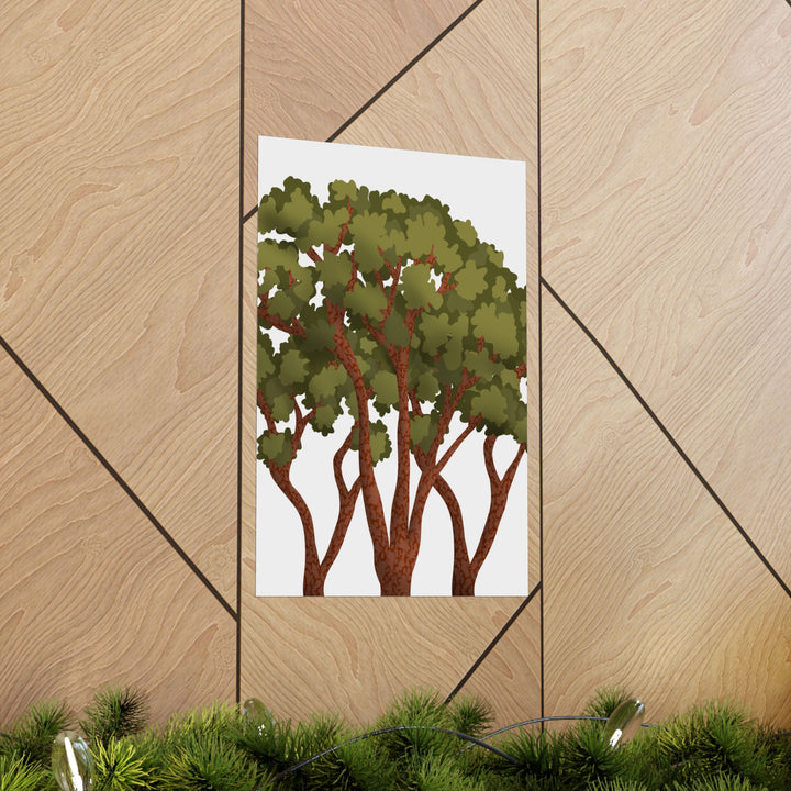 Pacific Madrone Print – Unframed Wall Art