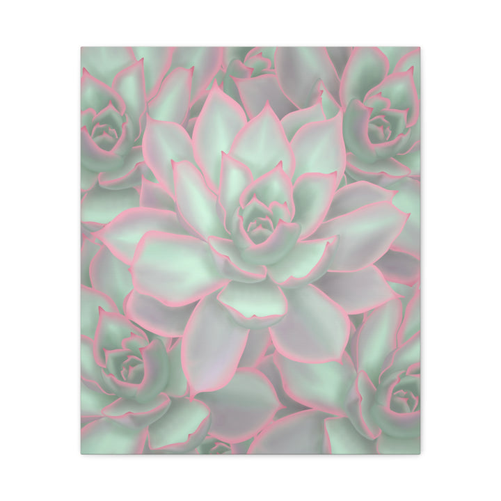 Echeveria Violet Queen Canvas Wall Art Succulent Print Matte Botanical Decor For Indoor Spaces