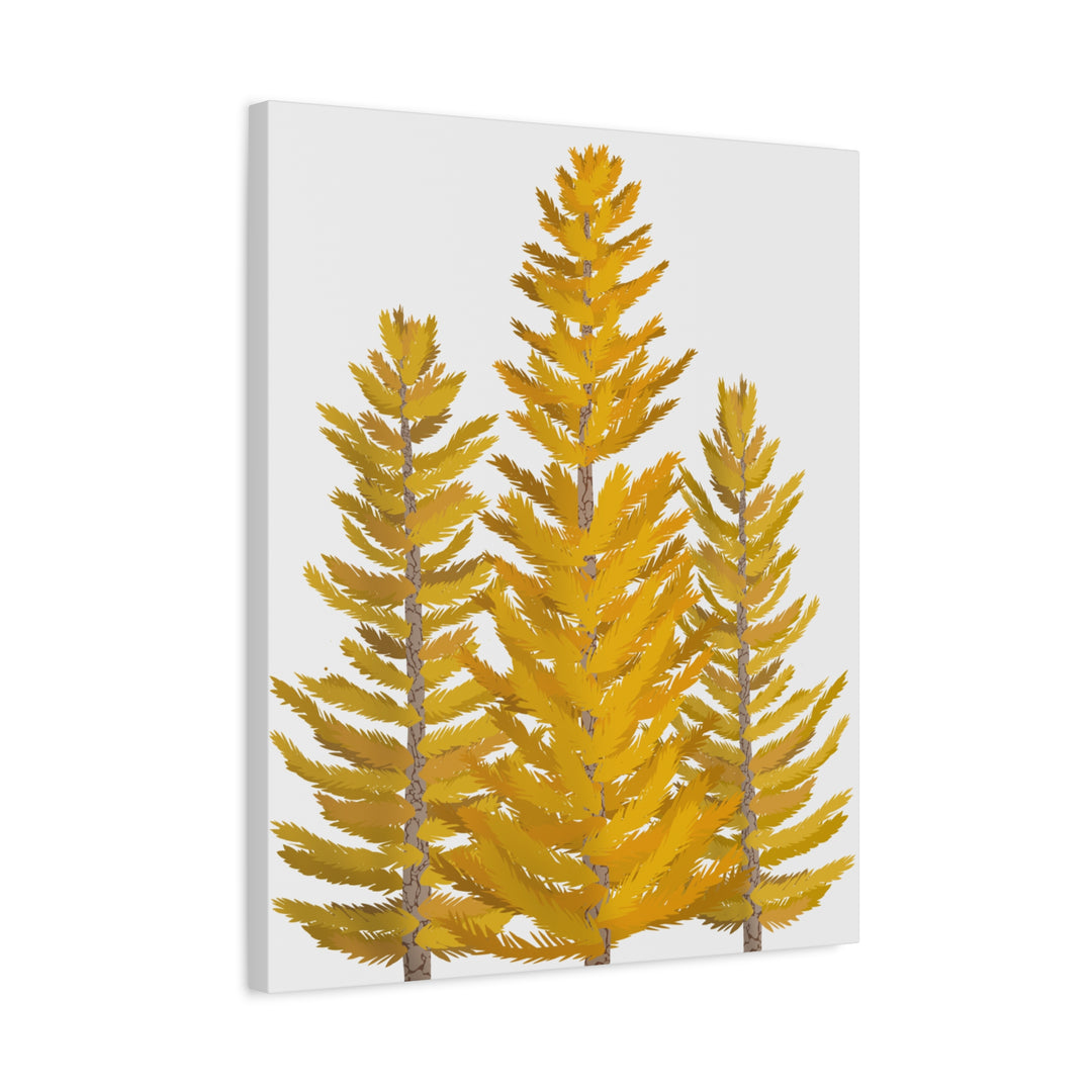 Western Larch Canvas Print – Wall Art