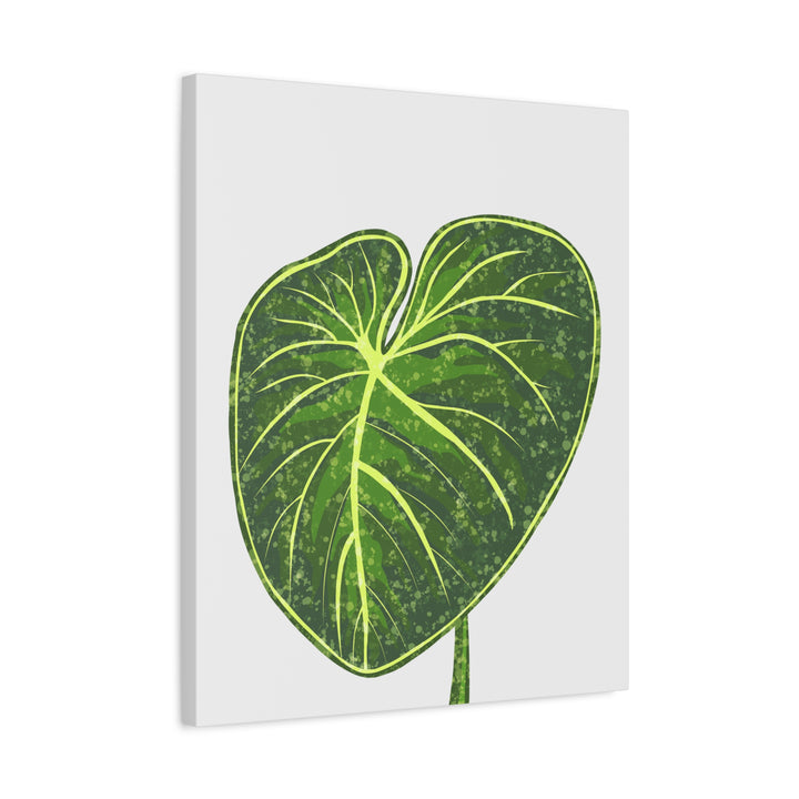 Philodendron Gloriosum Canvas Print Stretched Wall Art Botanical Leaf Print Matte Finish Gallery Wrapped Canvas
