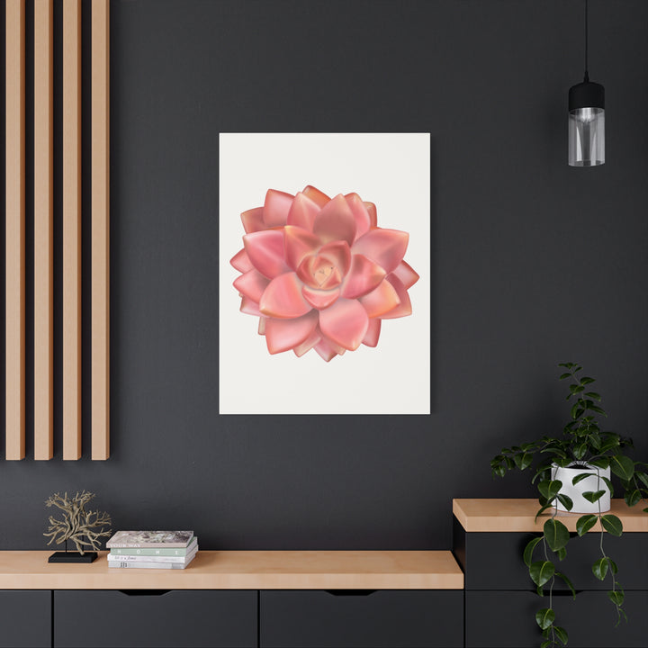 Succulent Canvas Art California Sunset Rosette Botanical Wall Art Print The Potted Pixel