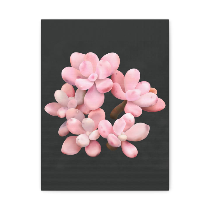 Pink Moonstone Canvas Print – Botanical Wall Art