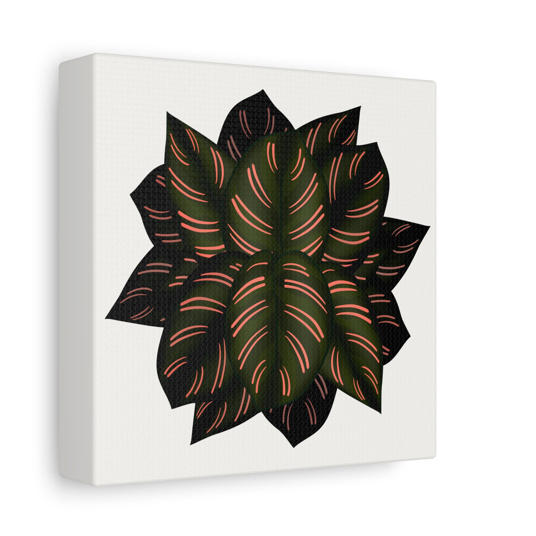 Calathea Pinstripe Canvas Botanical Wall Art Print On Stretched Cotton Canvas For Living Room Decor