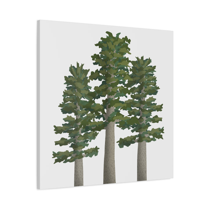 Sitka Spruce Canvas Print – Wall Art