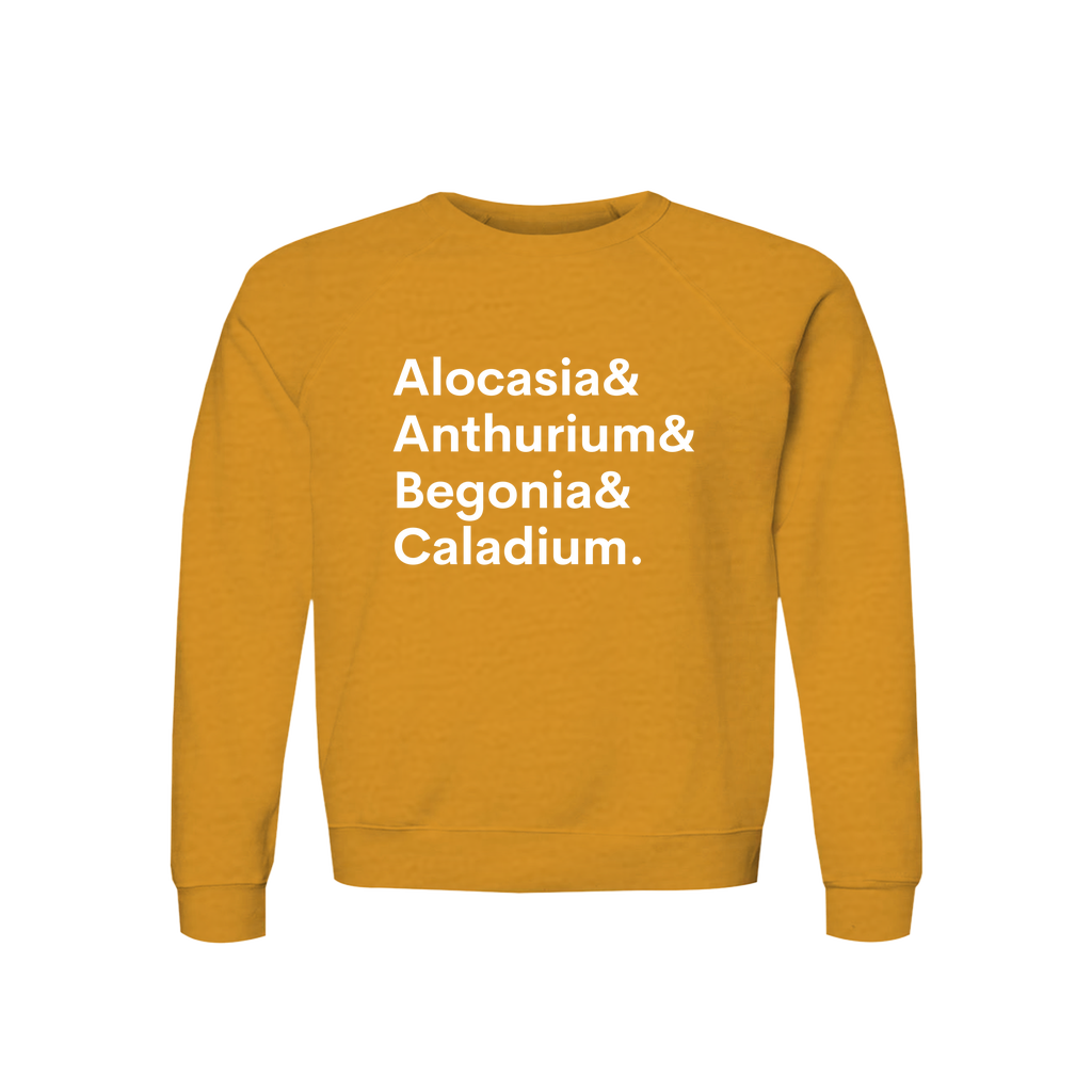 Apparel-DTG-Sweatshirt-Bella-3901-XS-HeatherMustard-Unisex-CF-20260810195524642