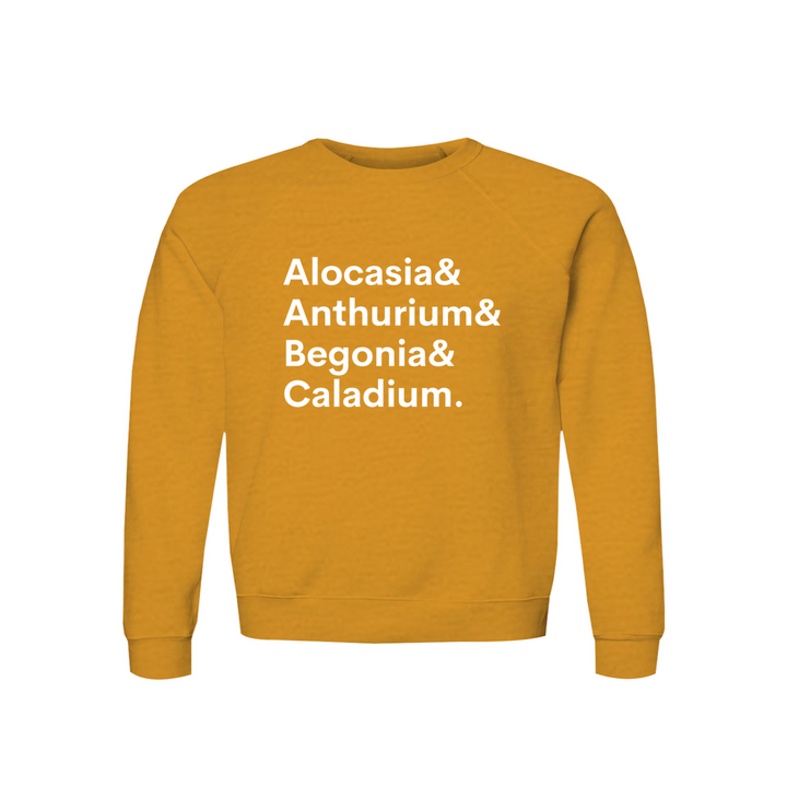 Apparel-DTG-Sweatshirt-Bella-3901-XS-HeatherMustard-Unisex-CF-20260810195524642