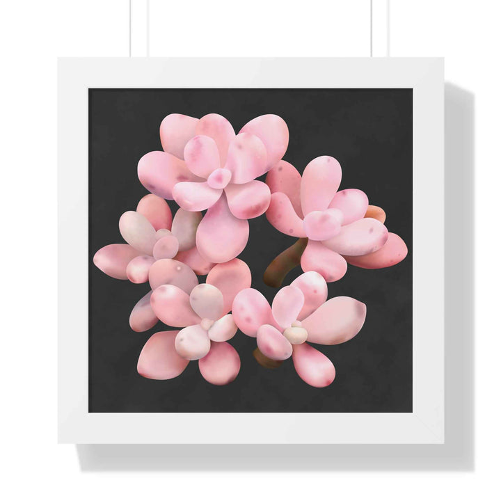 Pink Moonstone Succulent Framed Poster Vertical Botanical Wall Art