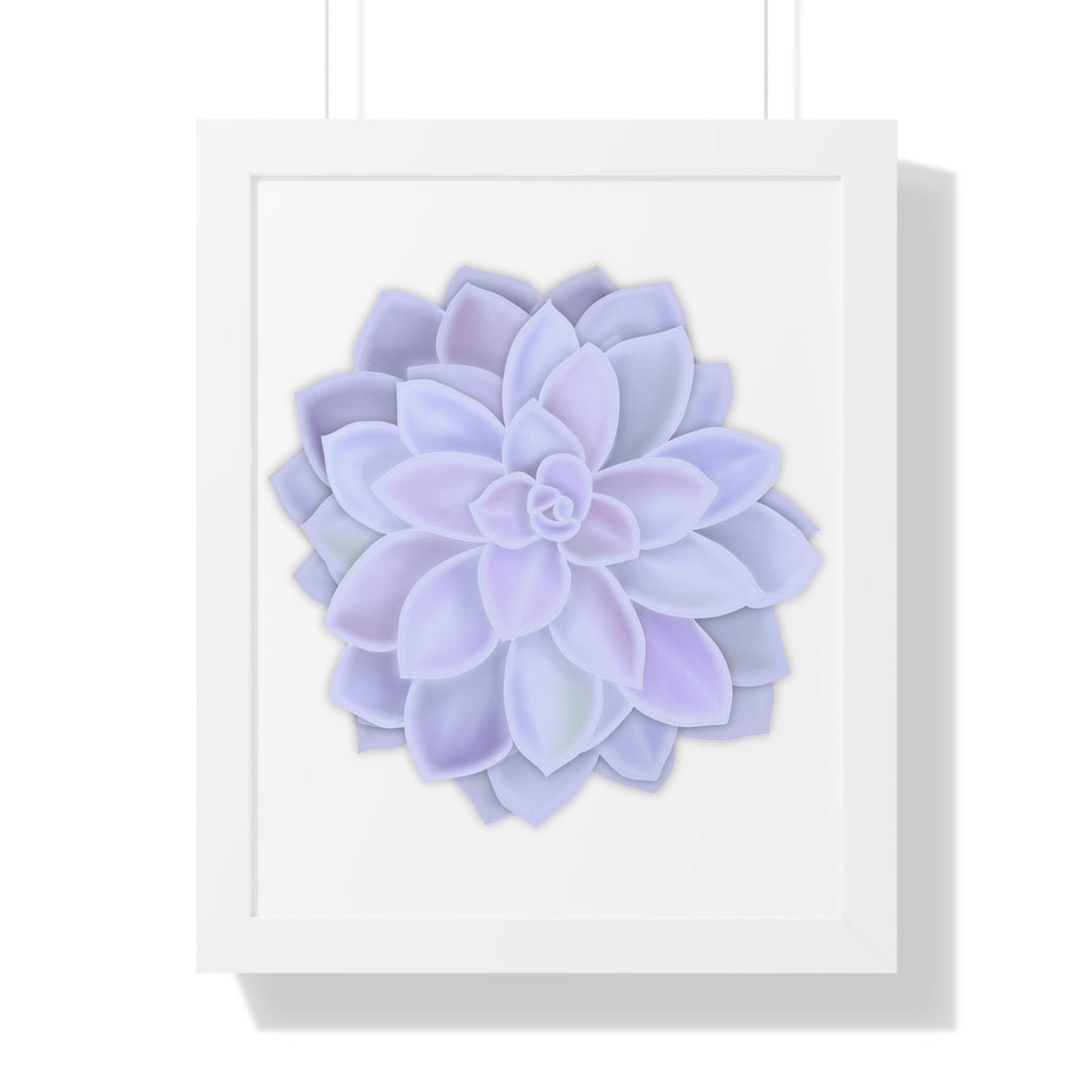 Graptopetalum Murasaki Succulent Framed Print – Botanical Wall Art - The Potted Pixel