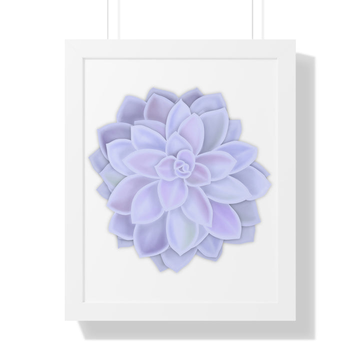 Graptopetalum Murasaki Succulent Framed Print – Botanical Wall Art - The Potted Pixel