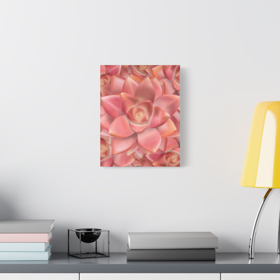 Graptosedum California Sunset Succulent Canvas Print – Botanical Wall Art - The Potted Pixel