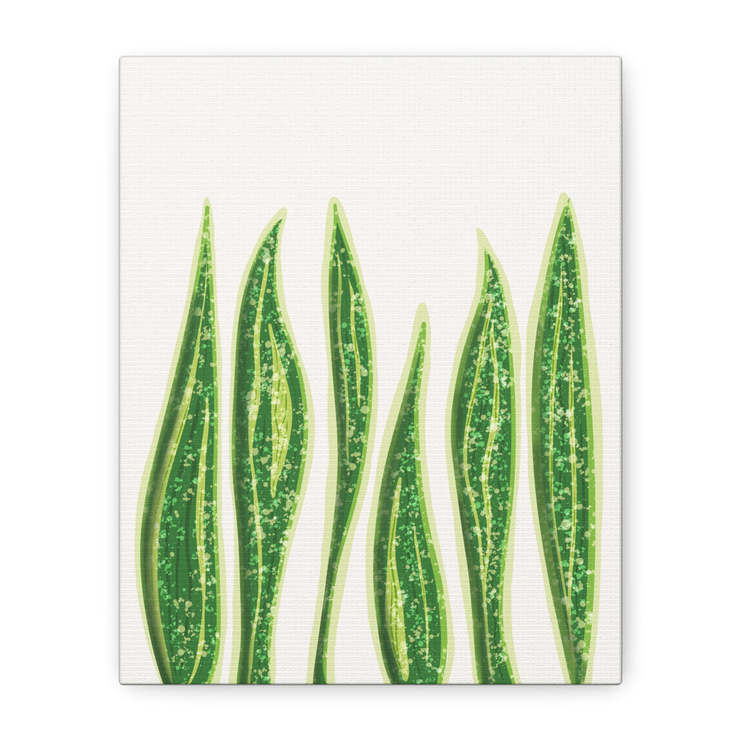 Snake Plant Canvas Print Matte 1.25 Inch Stretch Canvas Wall Art For Living Room Decor