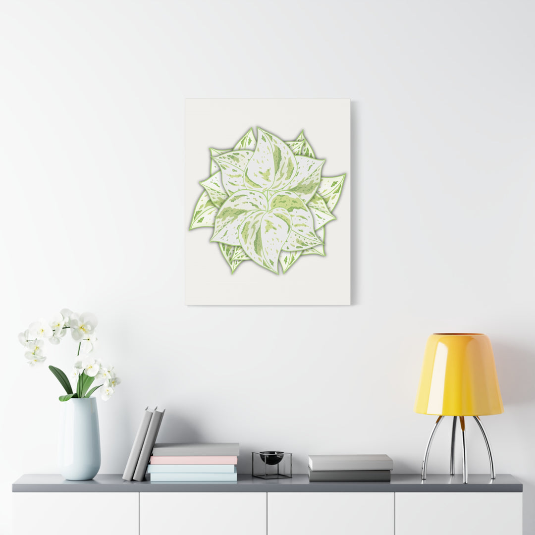 Snow Queen Pothos Canvas Wall Art Variegated Indoor Plant Leaf Poster Print Cotton Canvas