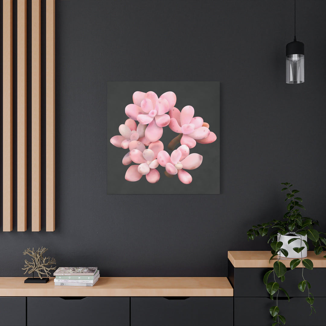 Pink Moonstone Canvas Print – Botanical Wall Art